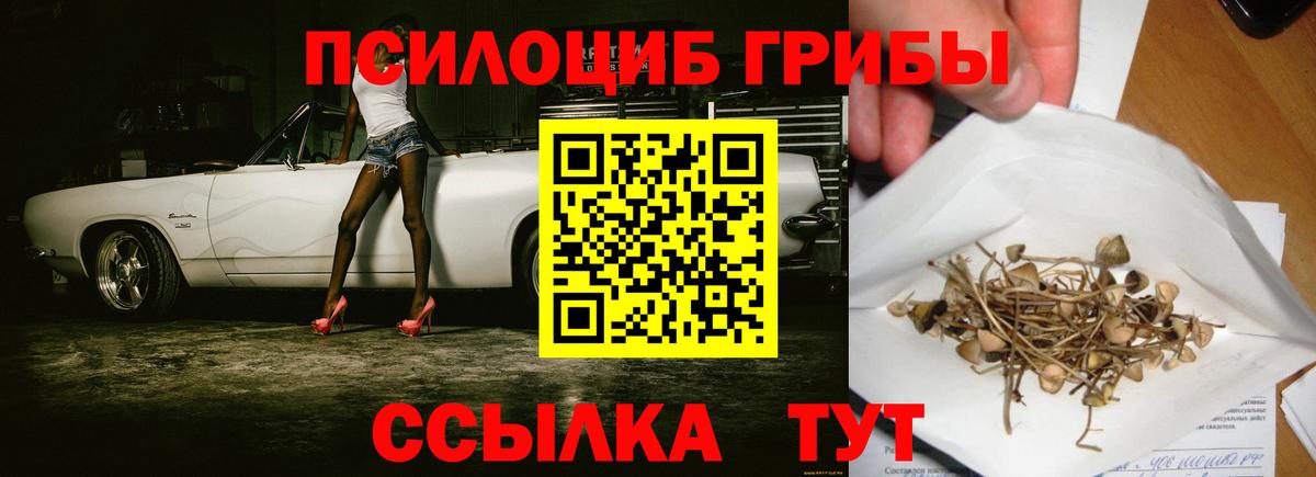Псилоцибиновые грибы мухоморы Нерюнгри